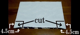cut off extra cloth