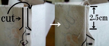 cut the extra seam allowances