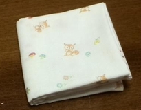 squirrel w-gauze handkerchief