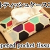 zippered pocket tissues case