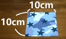 other fabric