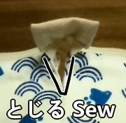 sew the edges