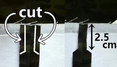 cut the extra seam allowances