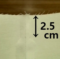 cut the extra seam allowances
