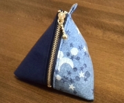 blue tetra pouch