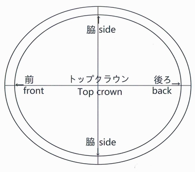 トップクラウンの型紙