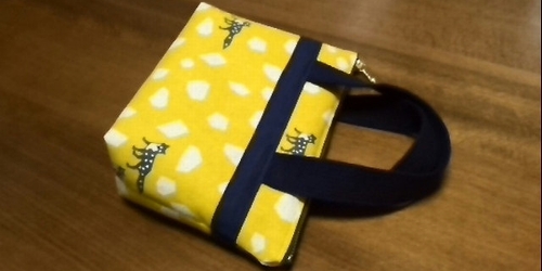 zippered pouch with handles